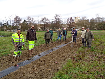 Plantation d'une haie à la lagune