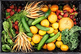 fruits et légumes de saison